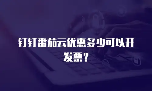 钉钉番茄云优惠多少可以开发票？