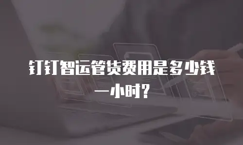 钉钉智运管货费用是多少钱一小时？