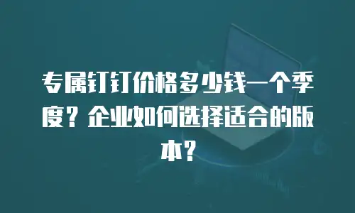 专属钉钉价格多少钱一个季度？企业如何选择适合的版本？