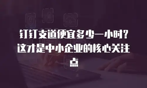 钉钉支道便宜多少一小时？这才是中小企业的核心关注点
