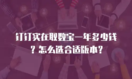 钉钉实在取数宝一年多少钱？怎么选合适版本？