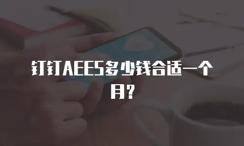 钉钉AEES多少钱合适一个月？