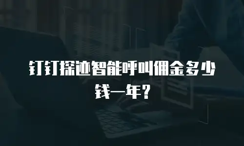 钉钉探迹智能呼叫佣金多少钱一年？