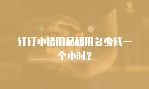 钉钉小猪用品租用多少钱一个小时？