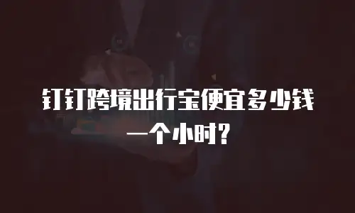 钉钉跨境出行宝便宜多少钱一个小时？