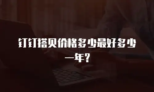 钉钉搭贝价格多少最好多少一年？