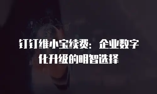 钉钉维小宝续费：企业数字化升级的明智选择