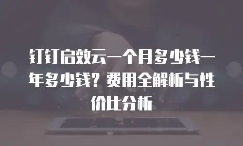 钉钉启效云一个月多少钱一年多少钱？费用全解析与性价比分析