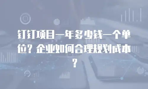 钉钉项目一年多少钱一个单位？企业如何合理规划成本？
