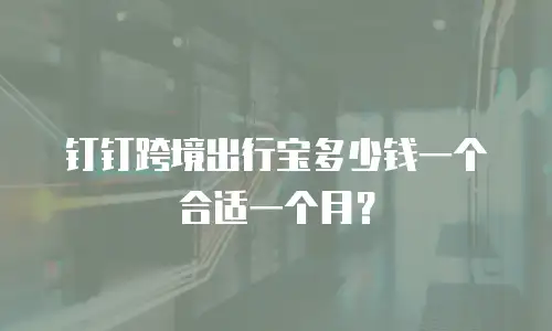 钉钉跨境出行宝多少钱一个合适一个月？