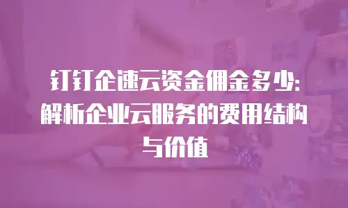 钉钉企速云资金佣金多少：解析企业云服务的费用结构与价值