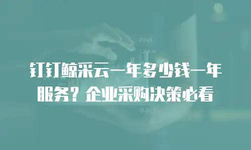 钉钉鲸采云一年多少钱一年服务？企业采购决策必看
