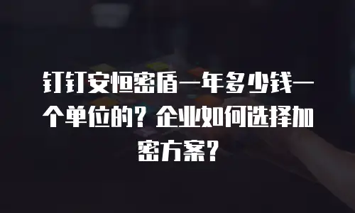 钉钉安恒密盾一年多少钱一个单位的？企业如何选择加密方案？