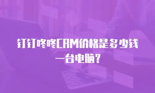 钉钉咚咚CRM价格是多少钱一台电脑？