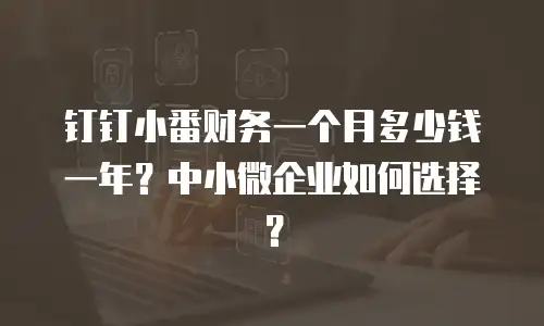 钉钉小番财务一个月多少钱一年？中小微企业如何选择？