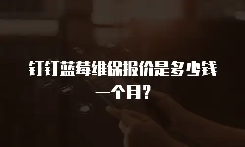 钉钉蓝莓维保报价是多少钱一个月？