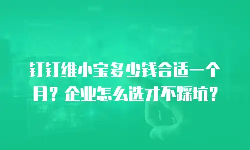 钉钉维小宝多少钱合适一个月？企业怎么选才不踩坑？