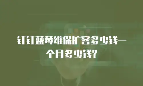 钉钉蓝莓维保扩容多少钱一个月多少钱？