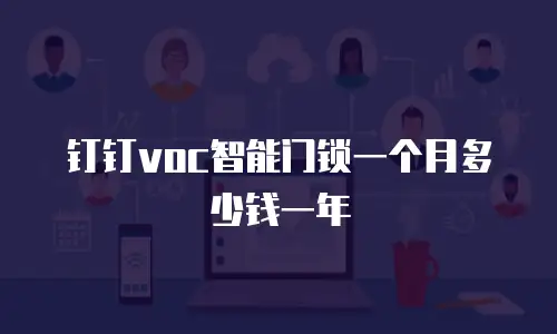 钉钉voc智能门锁一个月多少钱一年