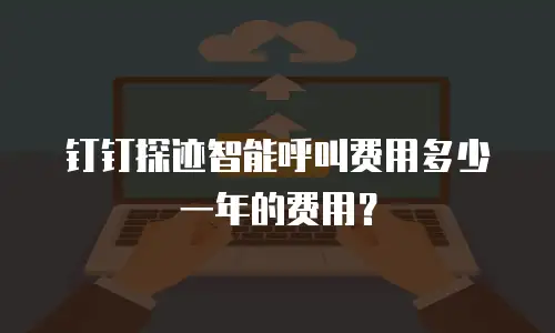 钉钉探迹智能呼叫费用多少一年的费用？