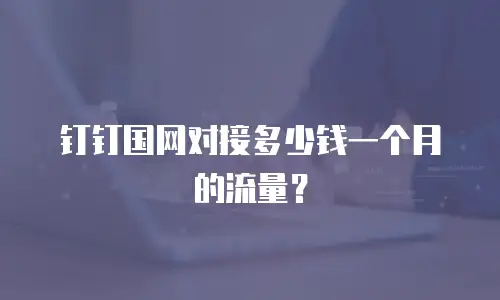 钉钉国网对接多少钱一个月的流量？