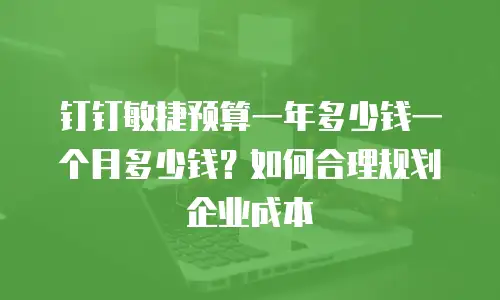 钉钉敏捷预算一年多少钱一个月多少钱？如何合理规划企业成本