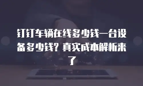 钉钉车辆在线多少钱一台设备多少钱？真实成本解析来了
