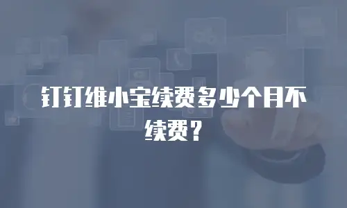 钉钉维小宝续费多少个月不续费？