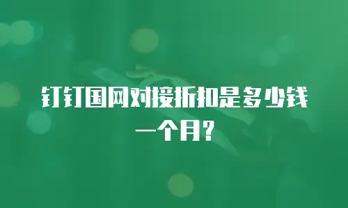 钉钉国网对接折扣是多少钱一个月？