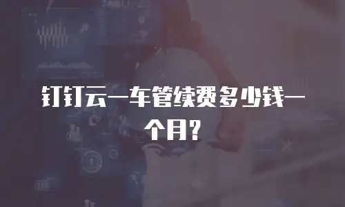 钉钉云一车管续费多少钱一个月？