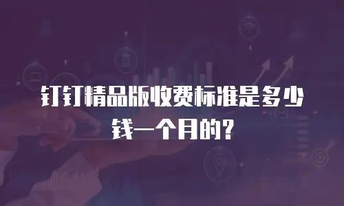 钉钉精品版收费标准是多少钱一个月的？