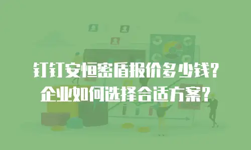 钉钉安恒密盾报价多少钱？企业如何选择合适方案？