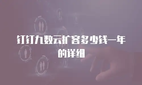钉钉九数云扩容多少钱一年的详细