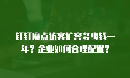 钉钉魔点访客扩容多少钱一年？企业如何合理配置？