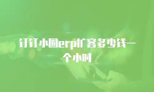 钉钉小圈erp扩容多少钱一个小时
