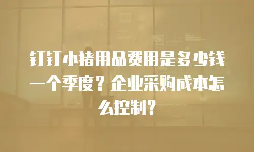 钉钉小猪用品费用是多少钱一个季度？企业采购成本怎么控制？