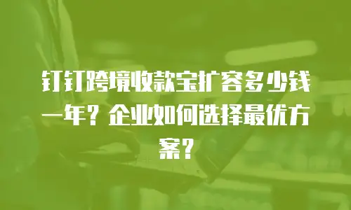 钉钉跨境收款宝扩容多少钱一年？企业如何选择最优方案？