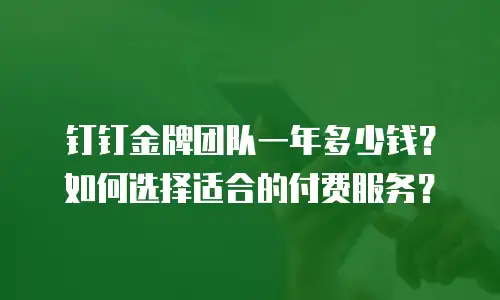 钉钉金牌团队一年多少钱？如何选择适合的付费服务？