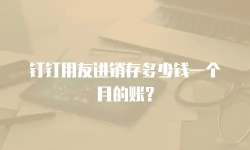 钉钉用友进销存多少钱一个月的账？