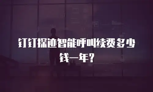 钉钉探迹智能呼叫续费多少钱一年？