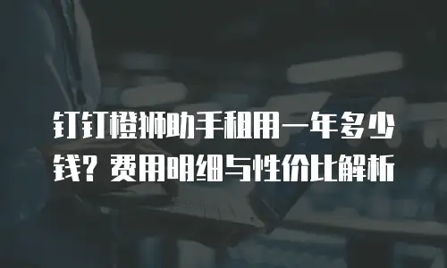 钉钉橙狮助手租用一年多少钱？费用明细与性价比解析