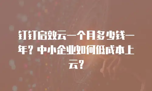 钉钉启效云一个月多少钱一年？中小企业如何低成本上云？