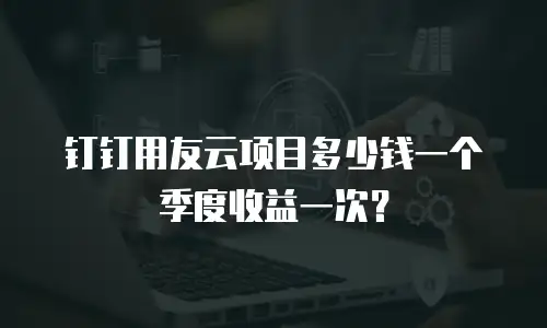 钉钉用友云项目多少钱一个季度收益一次？