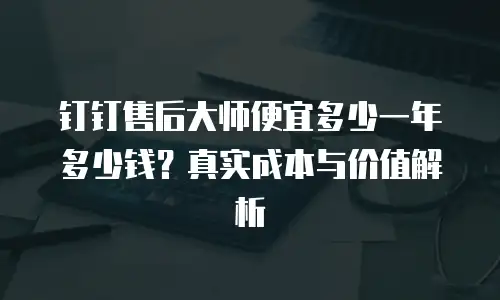 钉钉售后大师便宜多少一年多少钱？真实成本与价值解析