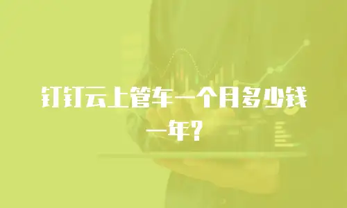 钉钉云上管车一个月多少钱一年？