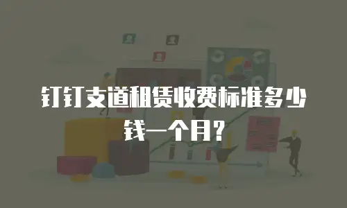 钉钉支道租赁收费标准多少钱一个月？