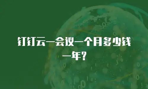 钉钉云一会议一个月多少钱一年？