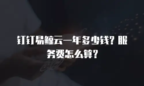 钉钉易鲸云一年多少钱？服务费怎么算？