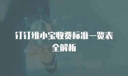 钉钉维小宝收费标准一览表全解析