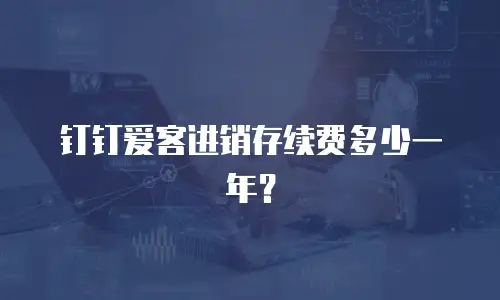 钉钉爱客进销存续费多少一年？